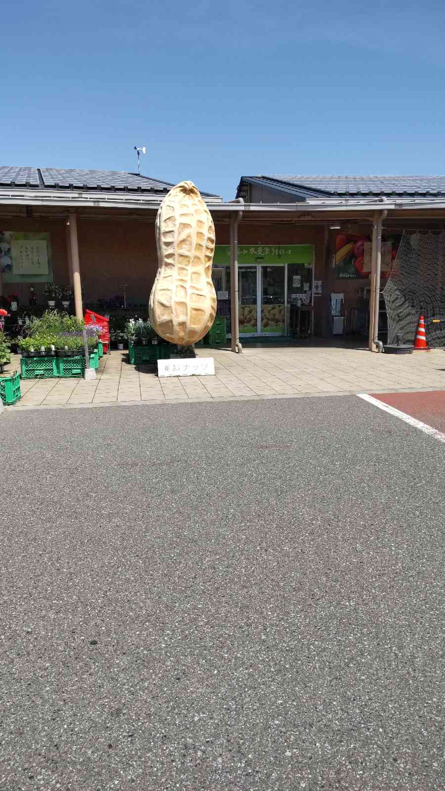 道の駅 木更津うまくたの里の写真