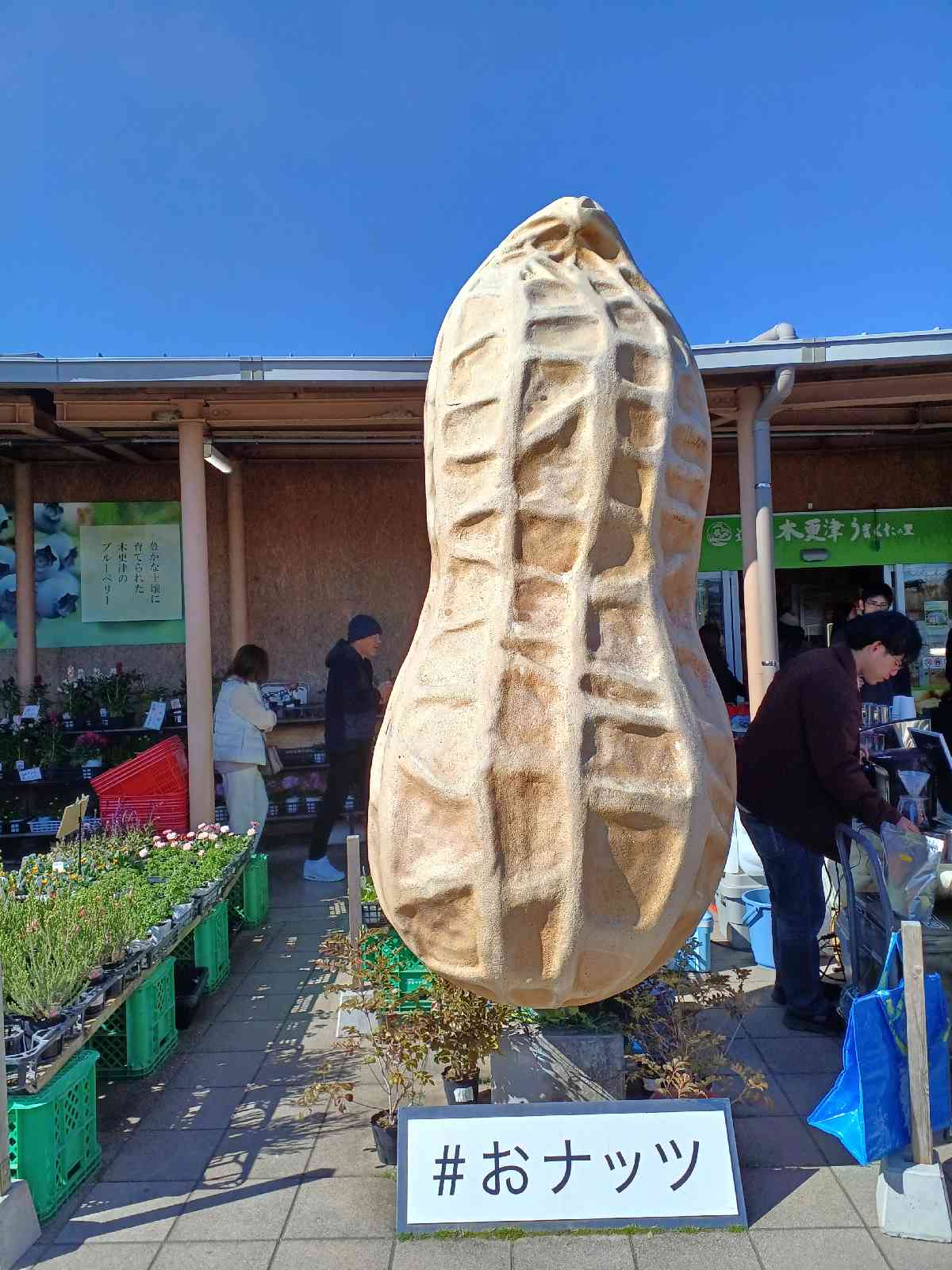 道の駅 木更津うまくたの里の写真