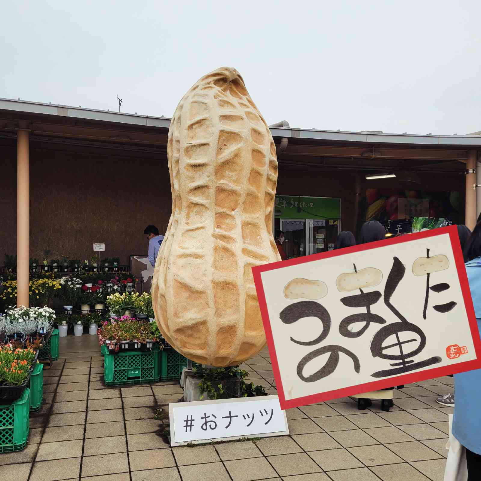 道の駅 木更津うまくたの里の写真