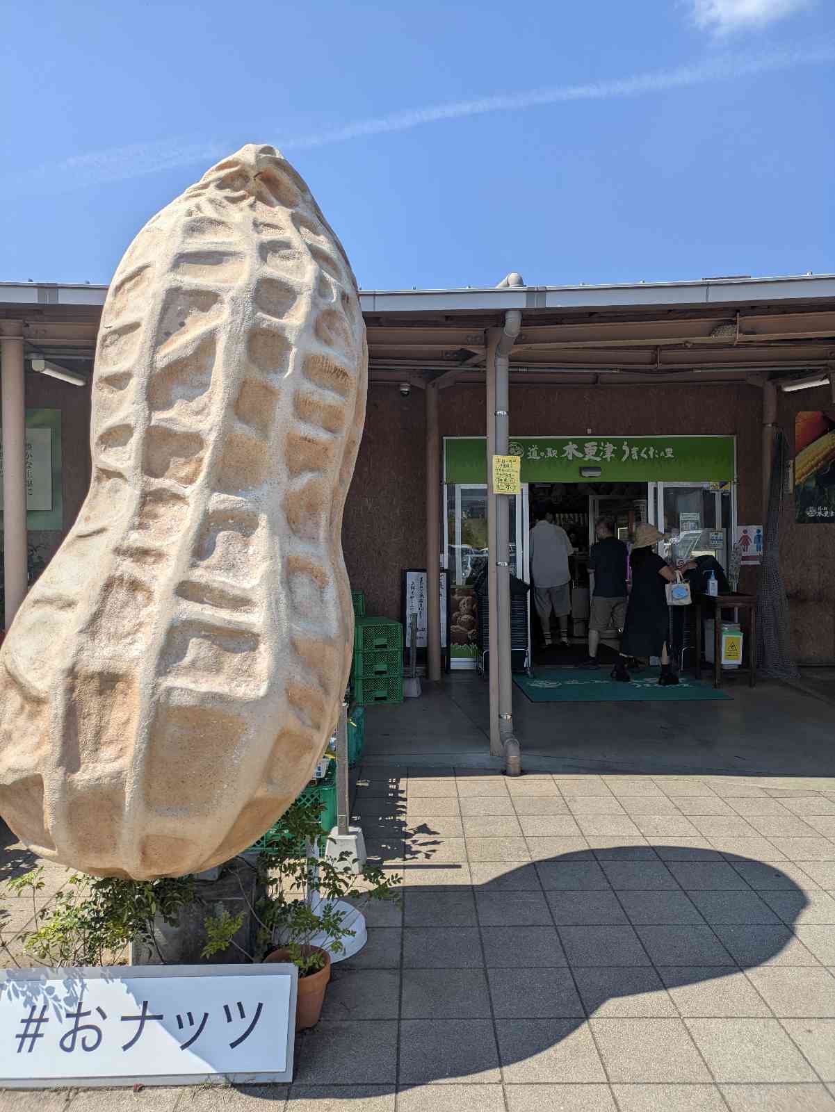 道の駅 木更津うまくたの里の写真