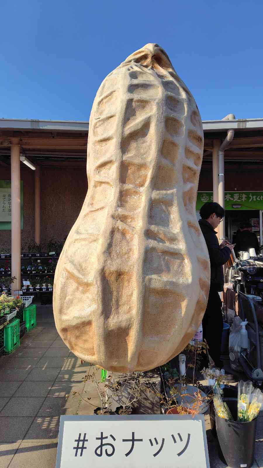 道の駅 木更津うまくたの里の写真