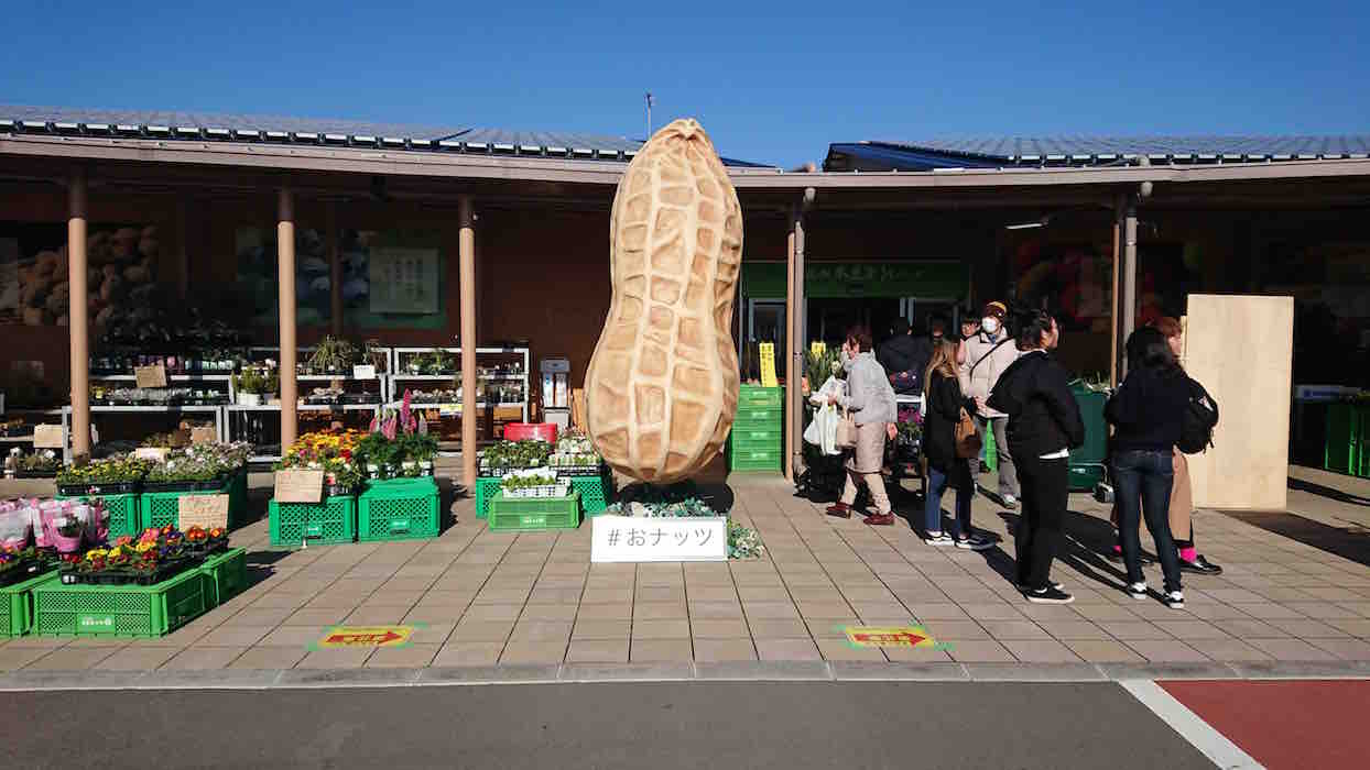 投稿された画像