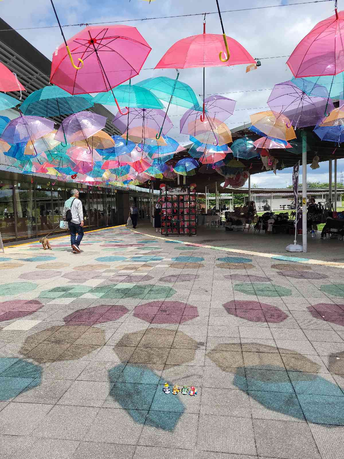 道の駅 パレットピアおおのの写真