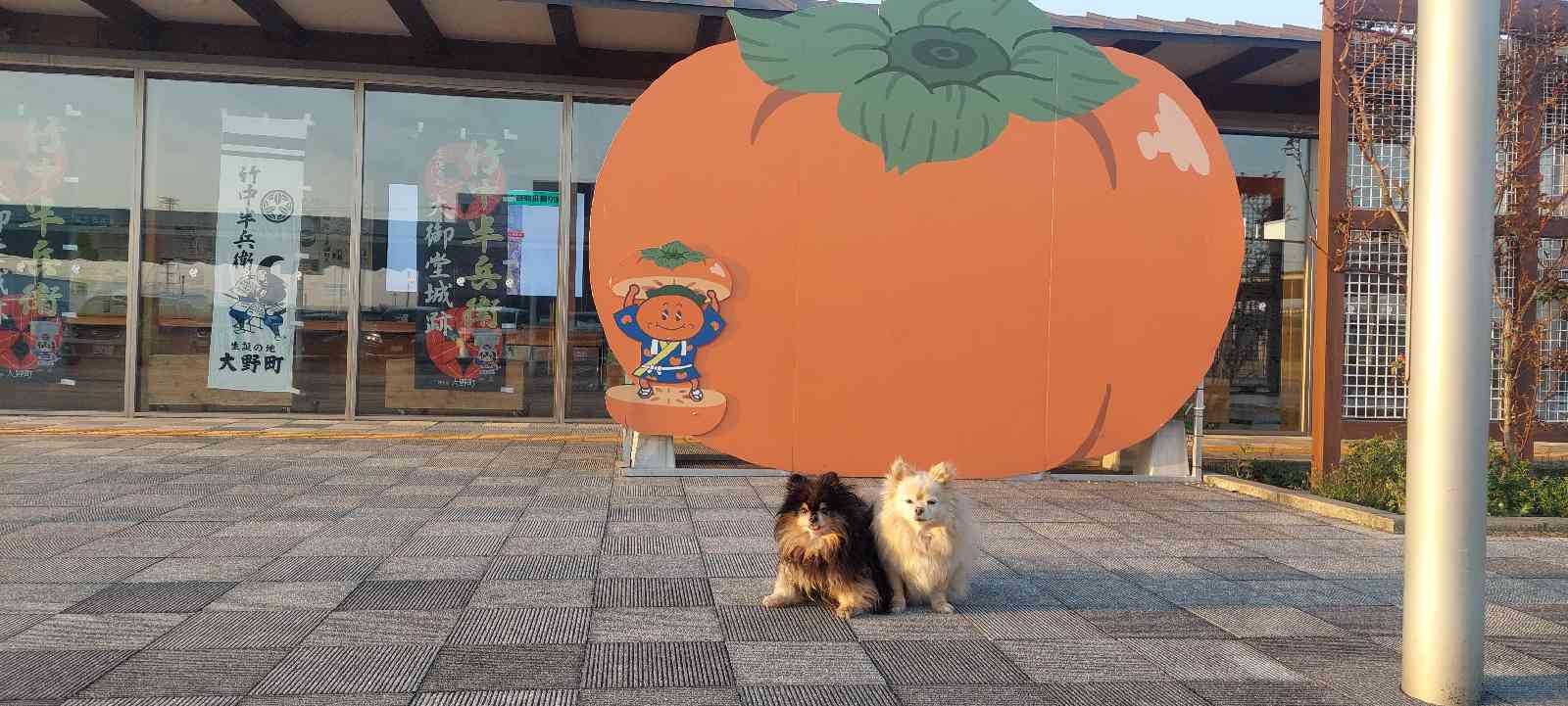 道の駅 パレットピアおおのの写真