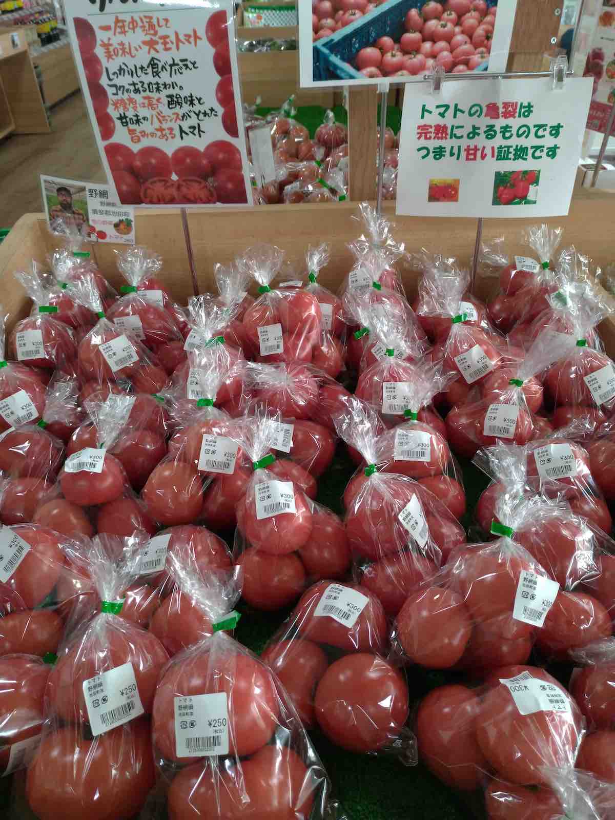 投稿された画像