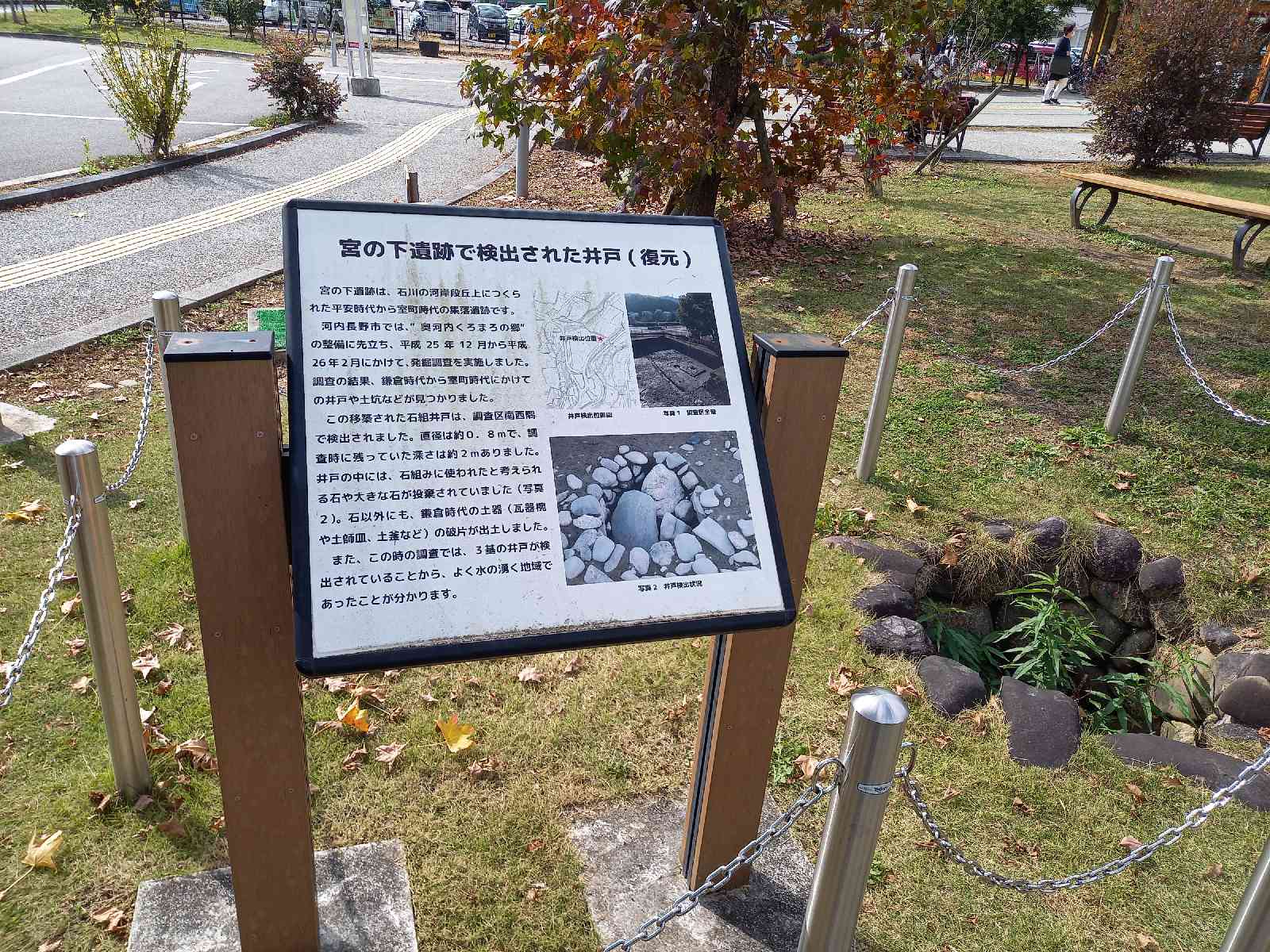 投稿された画像