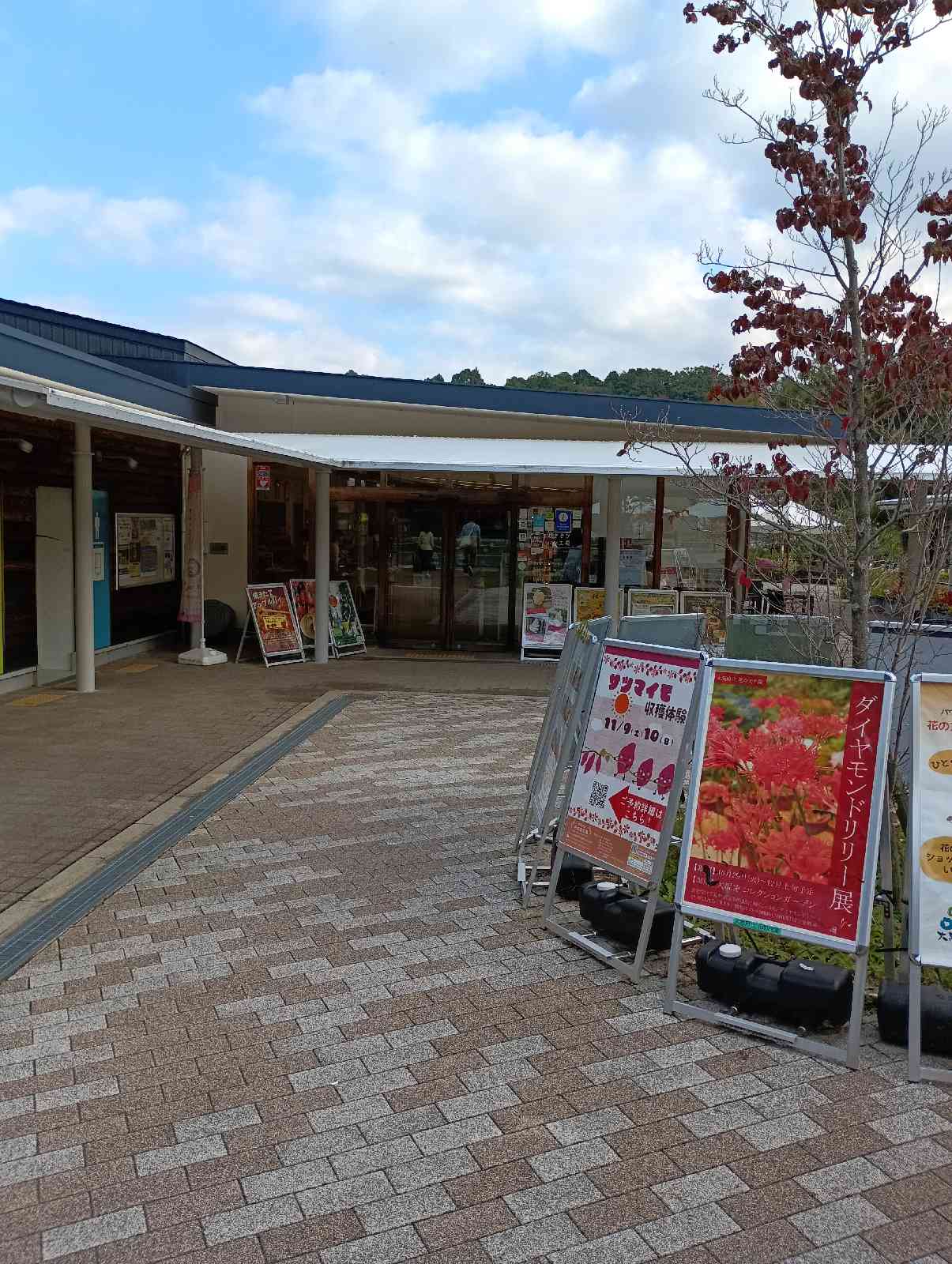 道の駅 奥河内くろまろの郷の写真
