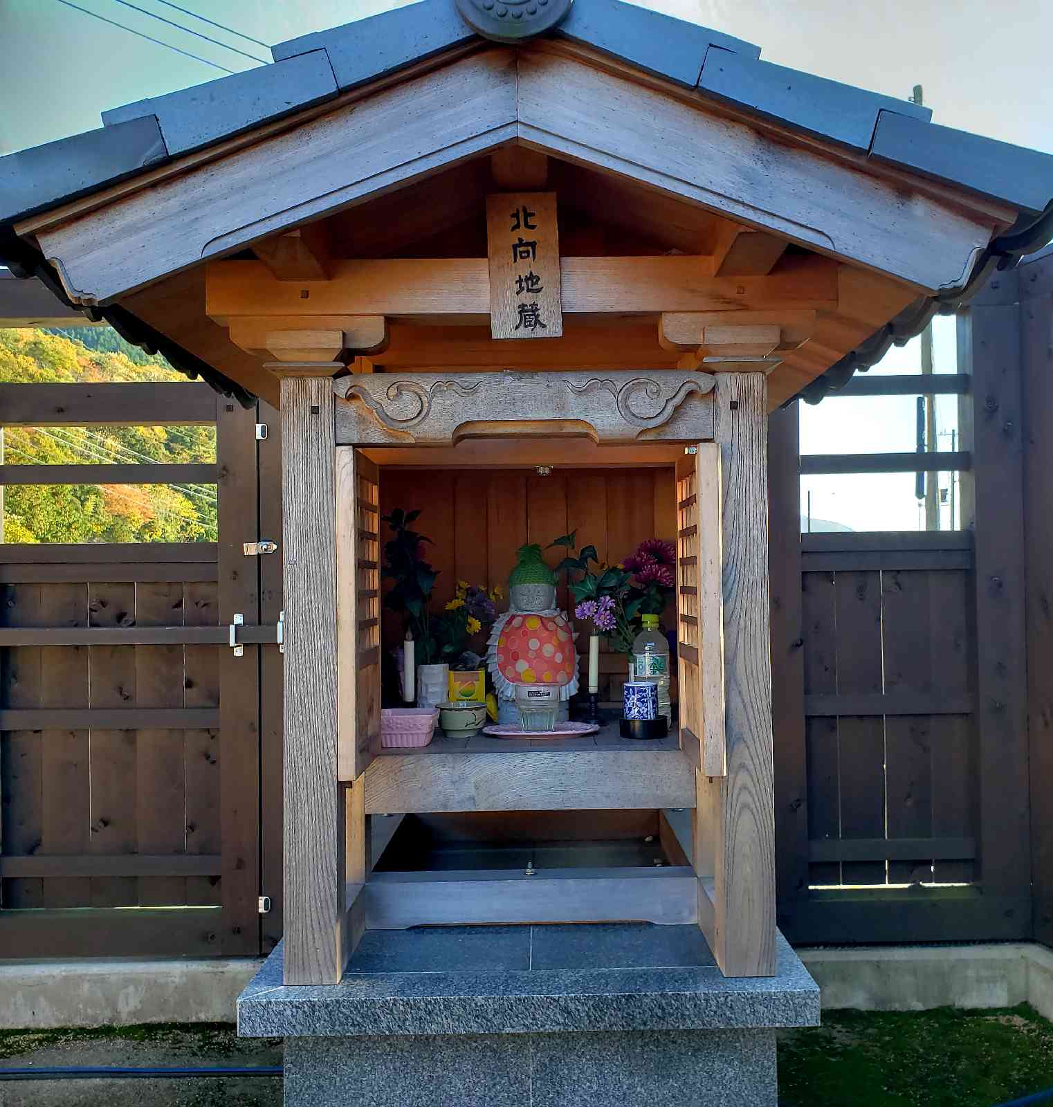 投稿された画像