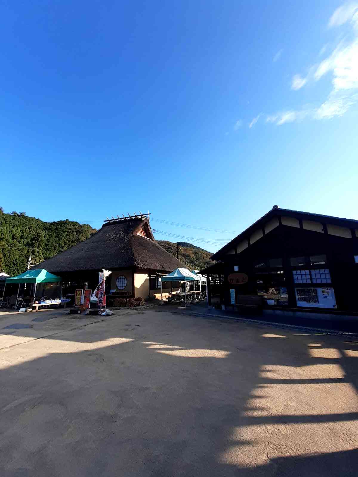 投稿された画像