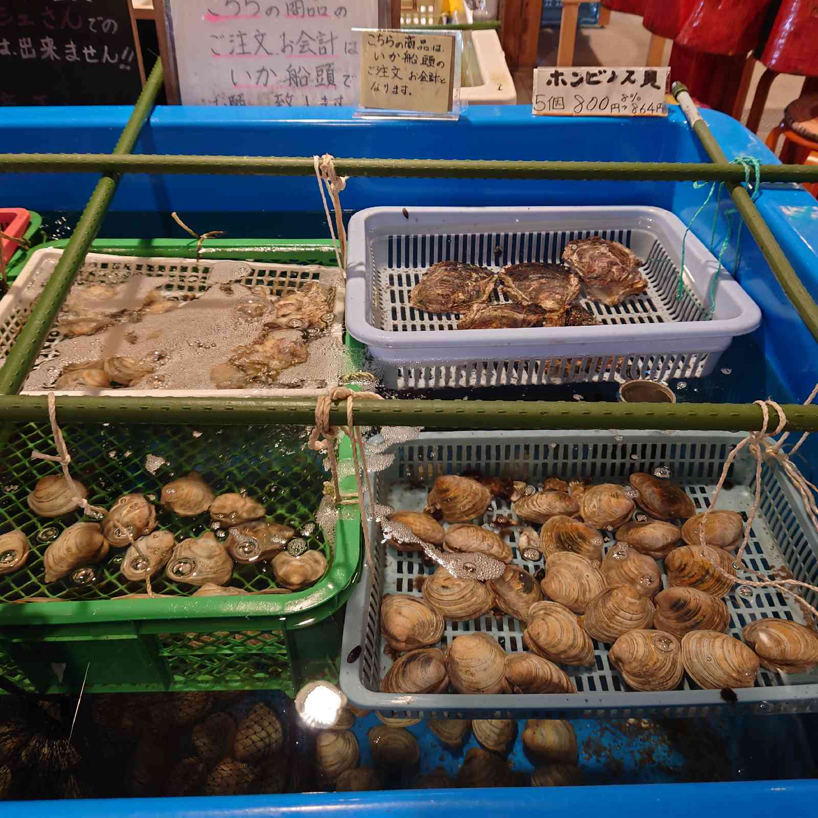 投稿された画像