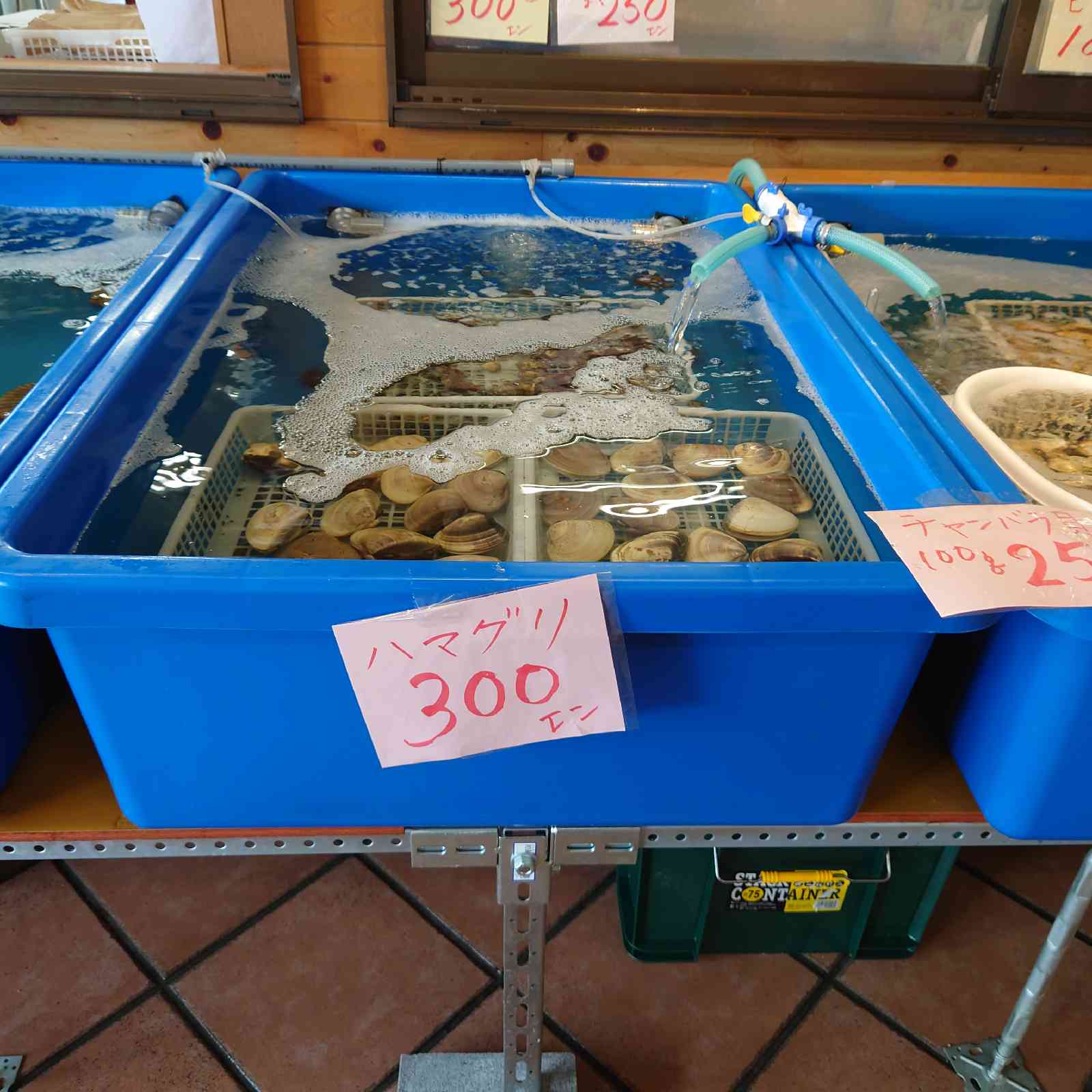 投稿された画像