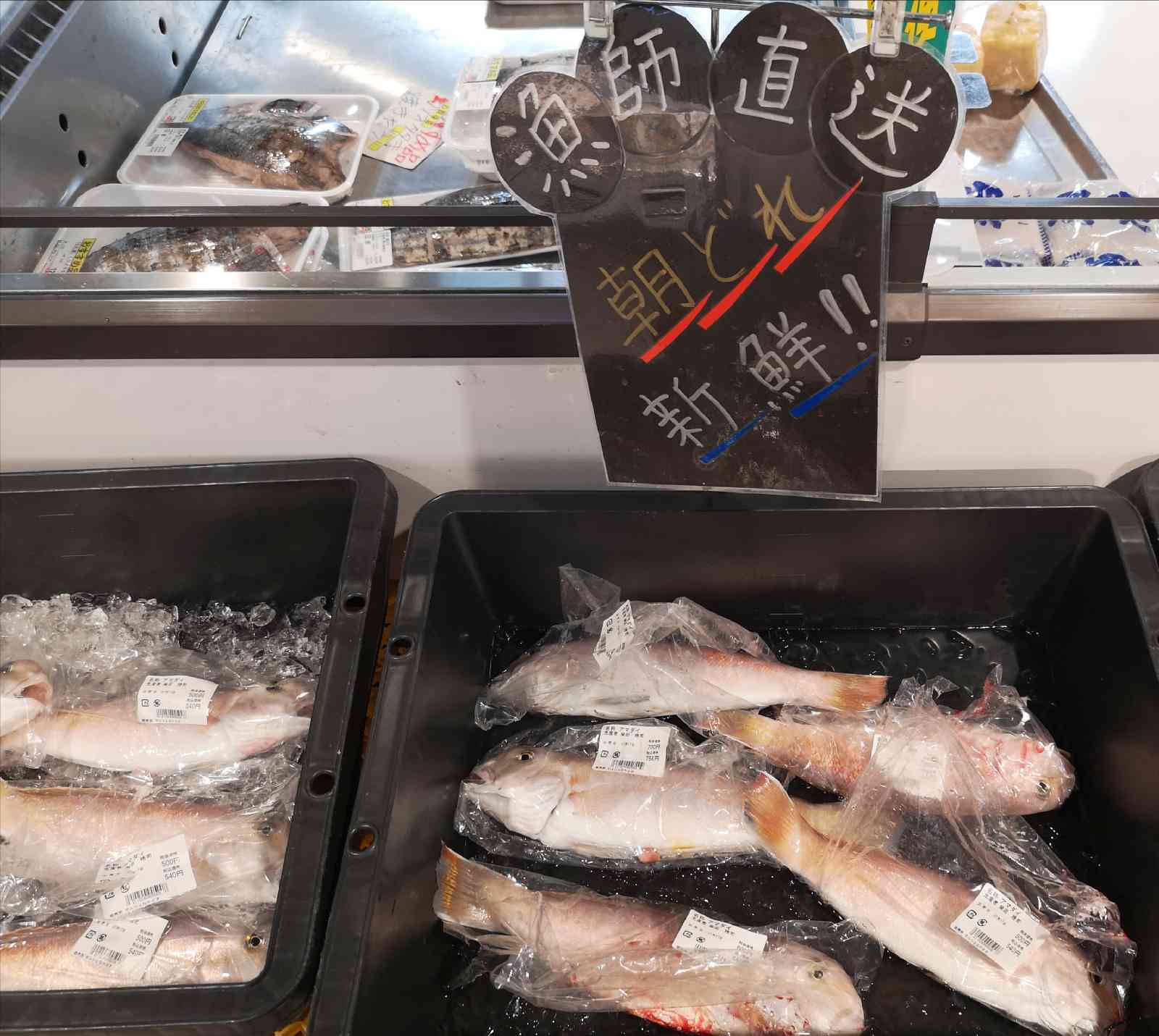 投稿された画像