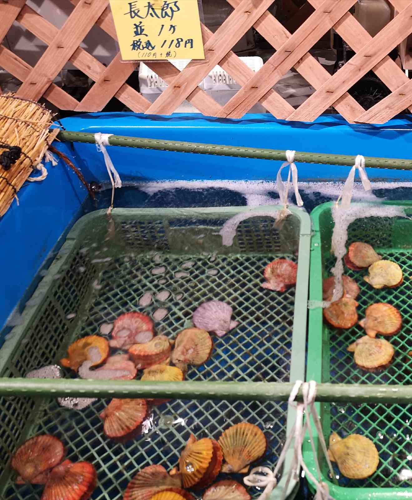 投稿された画像