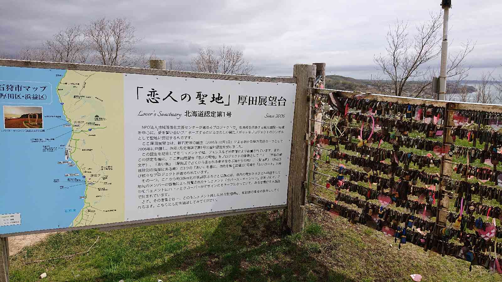 投稿された画像