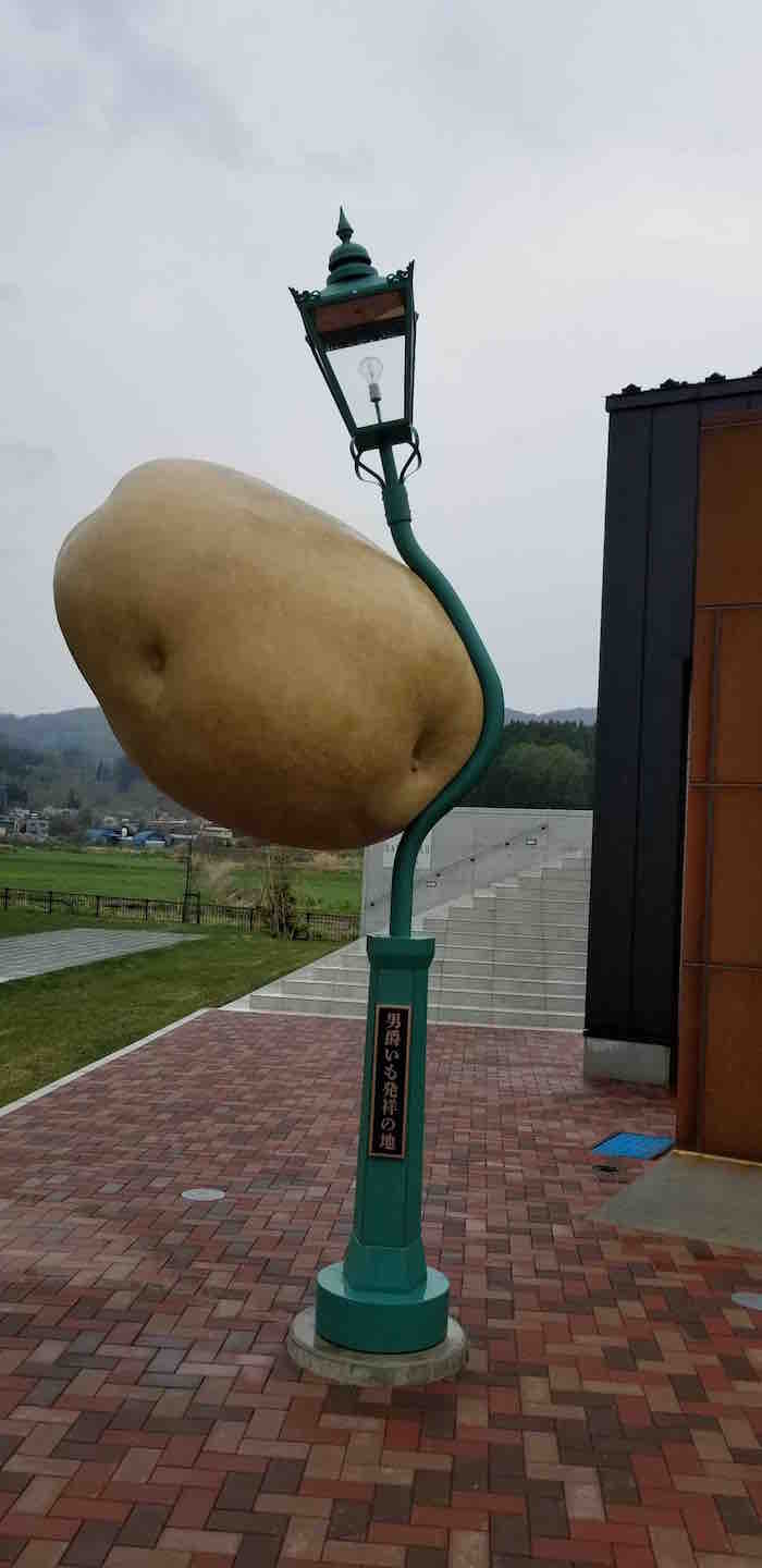 投稿された画像