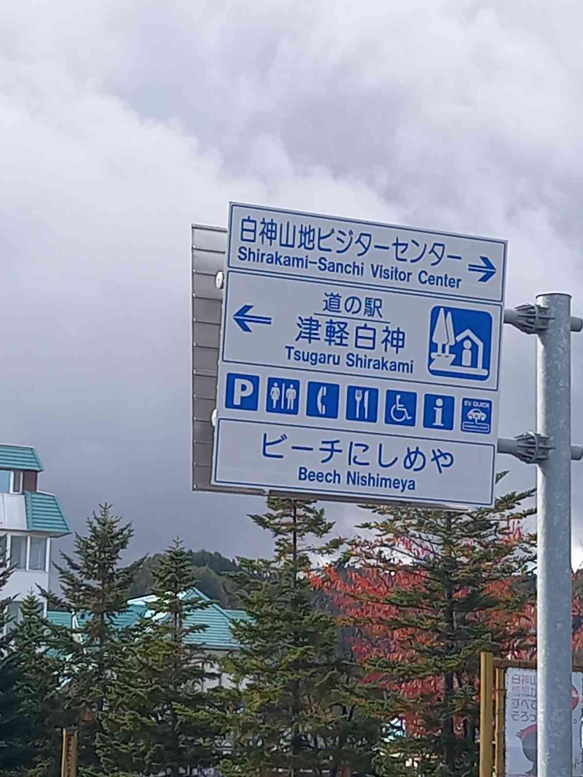 投稿された画像