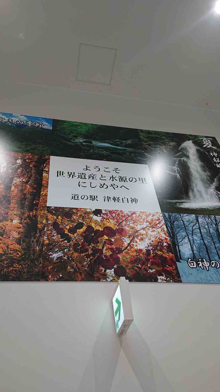 投稿された画像