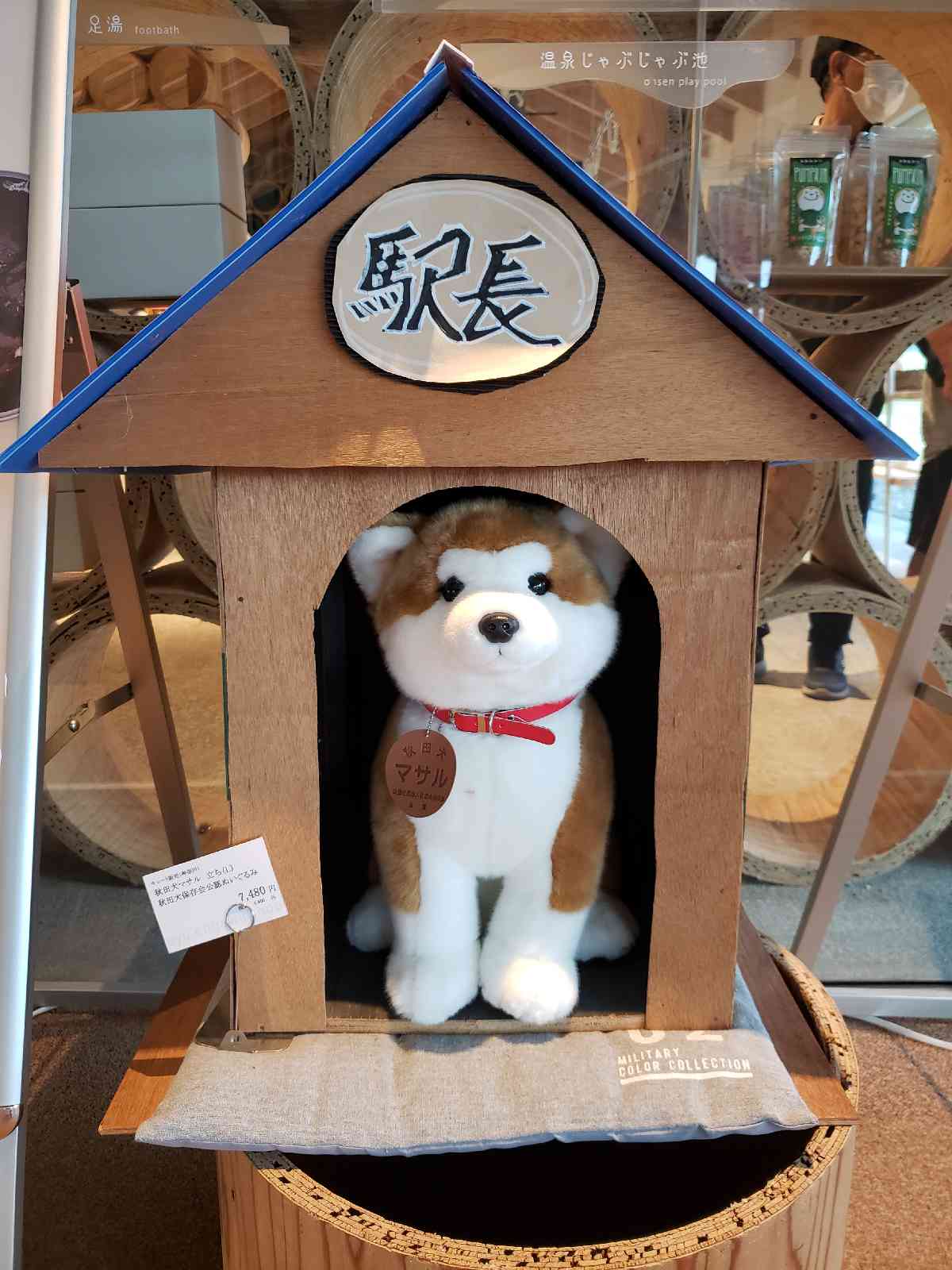 投稿された画像