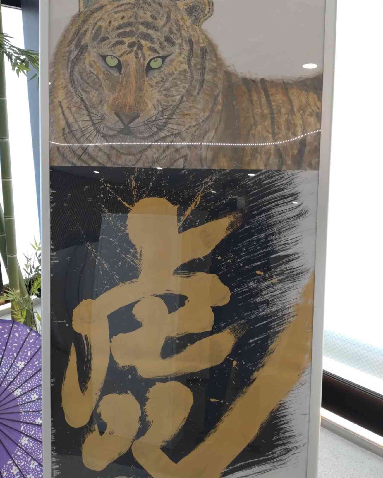 投稿された画像