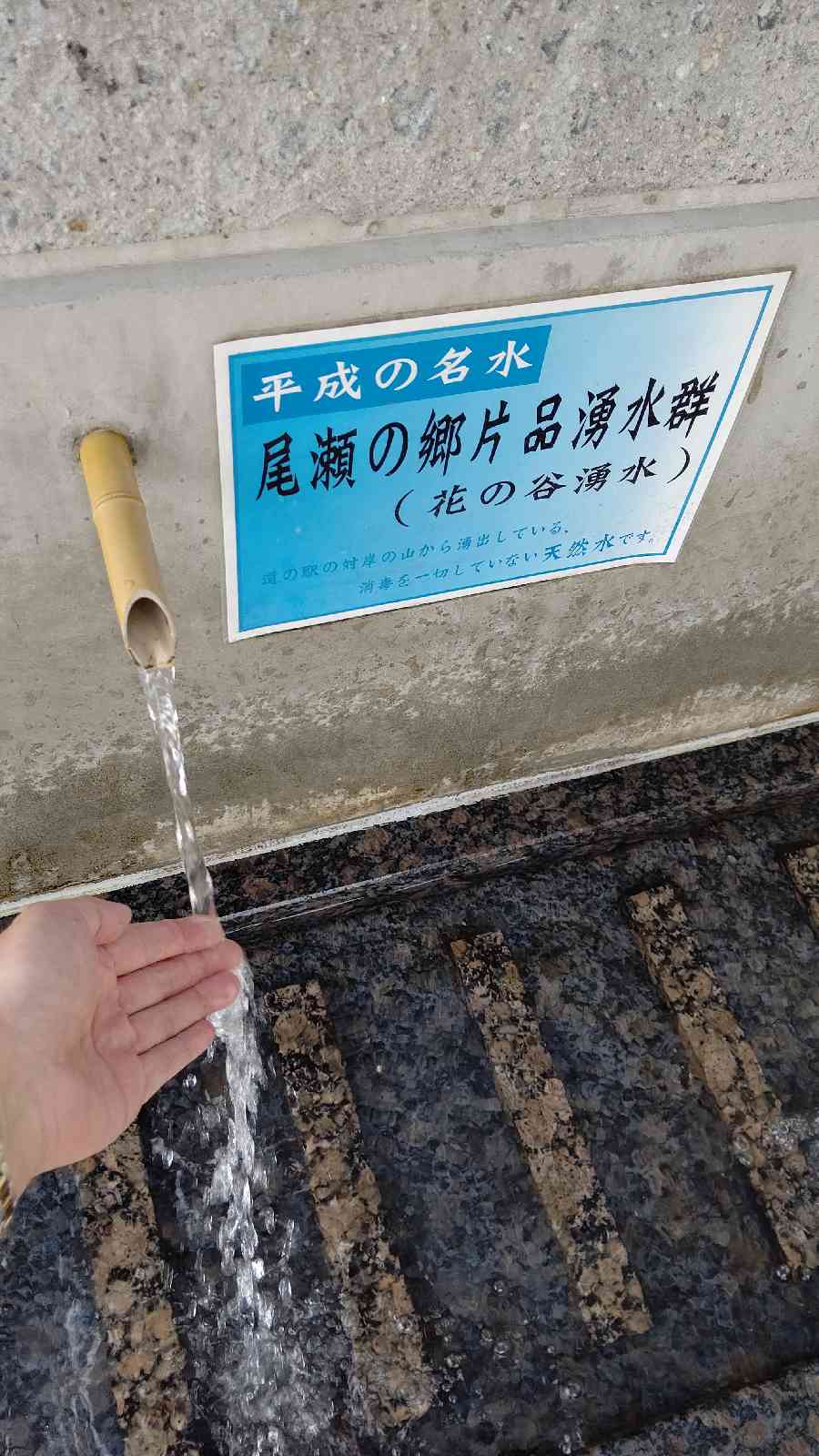 投稿された画像