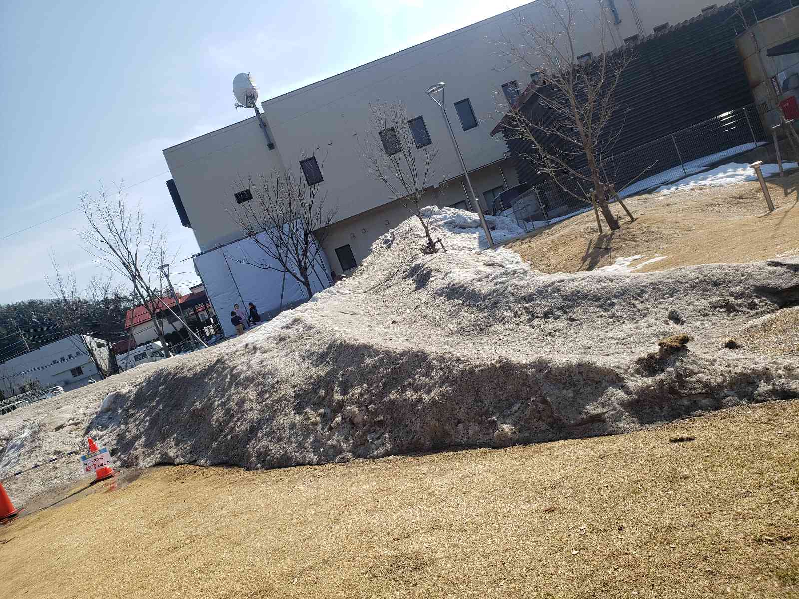 投稿された画像