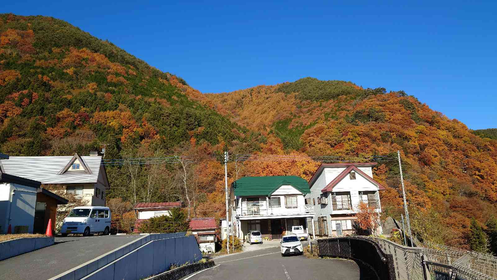 投稿された画像