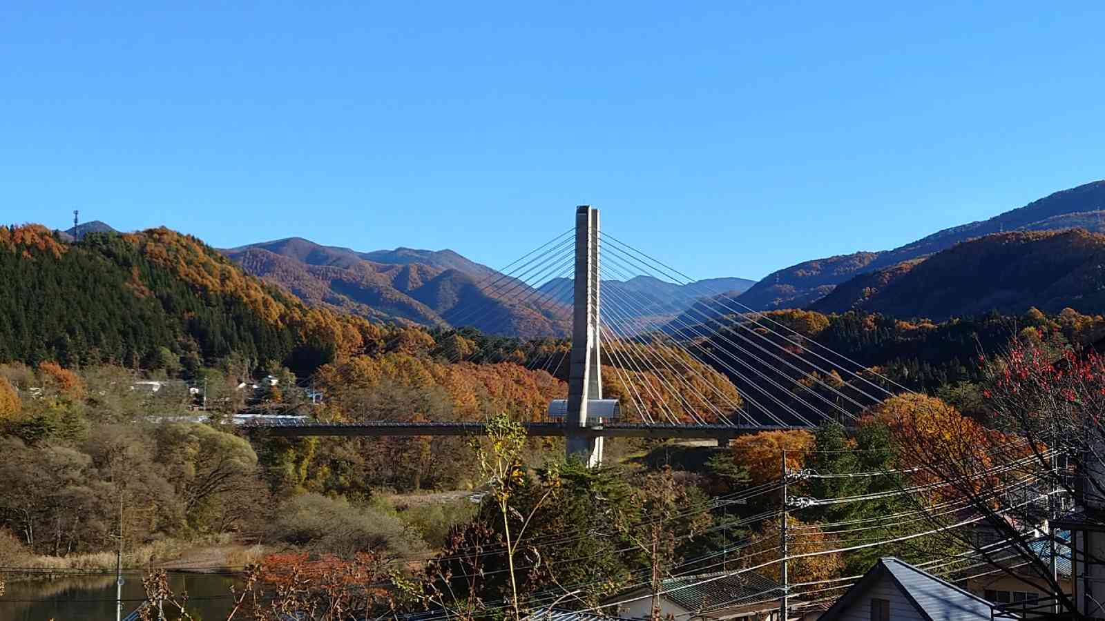投稿された画像