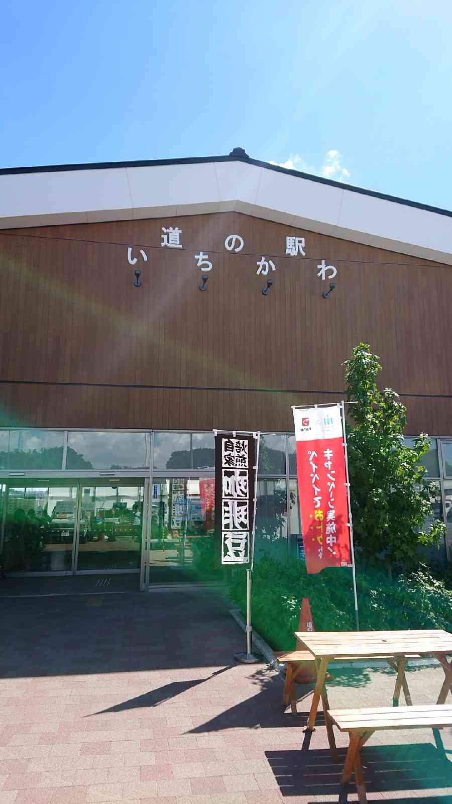 投稿された画像