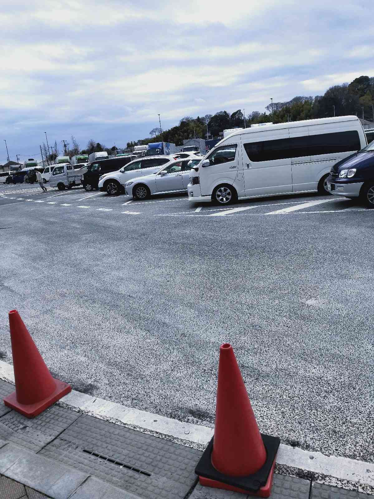 投稿された画像