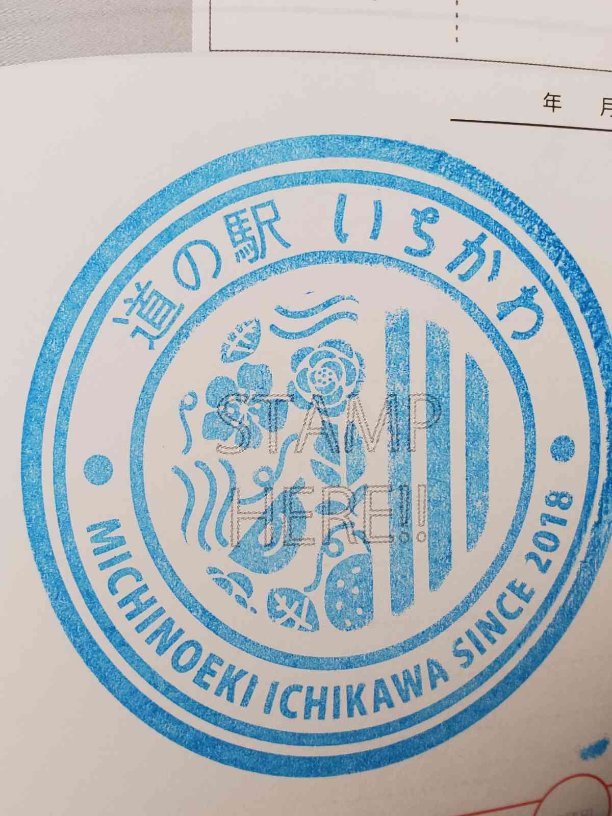 投稿された画像