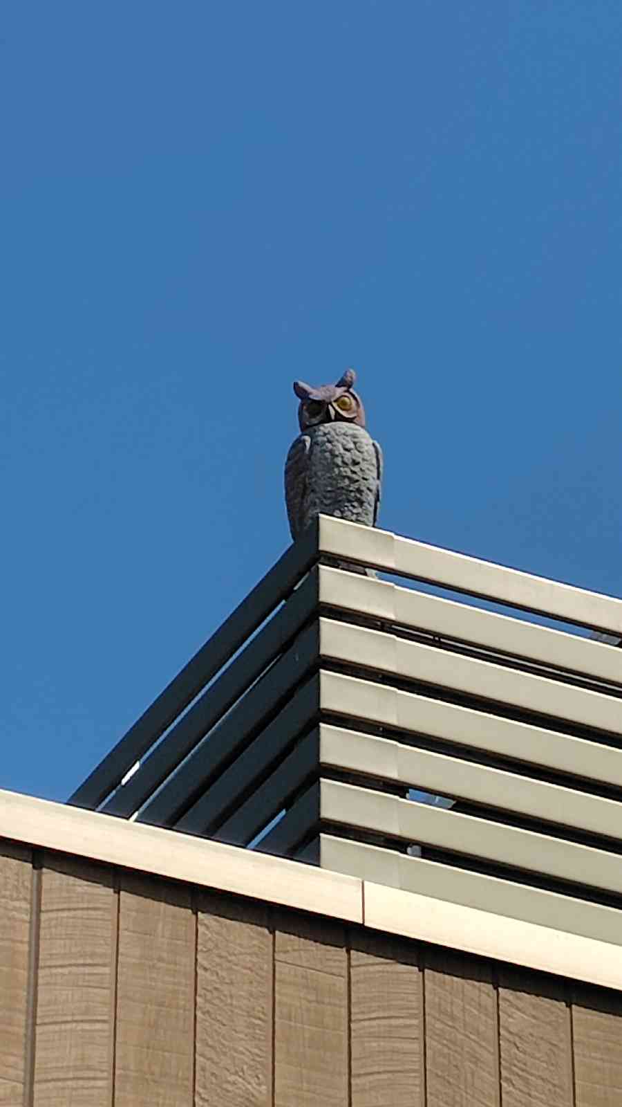 道の駅 いちかわの写真