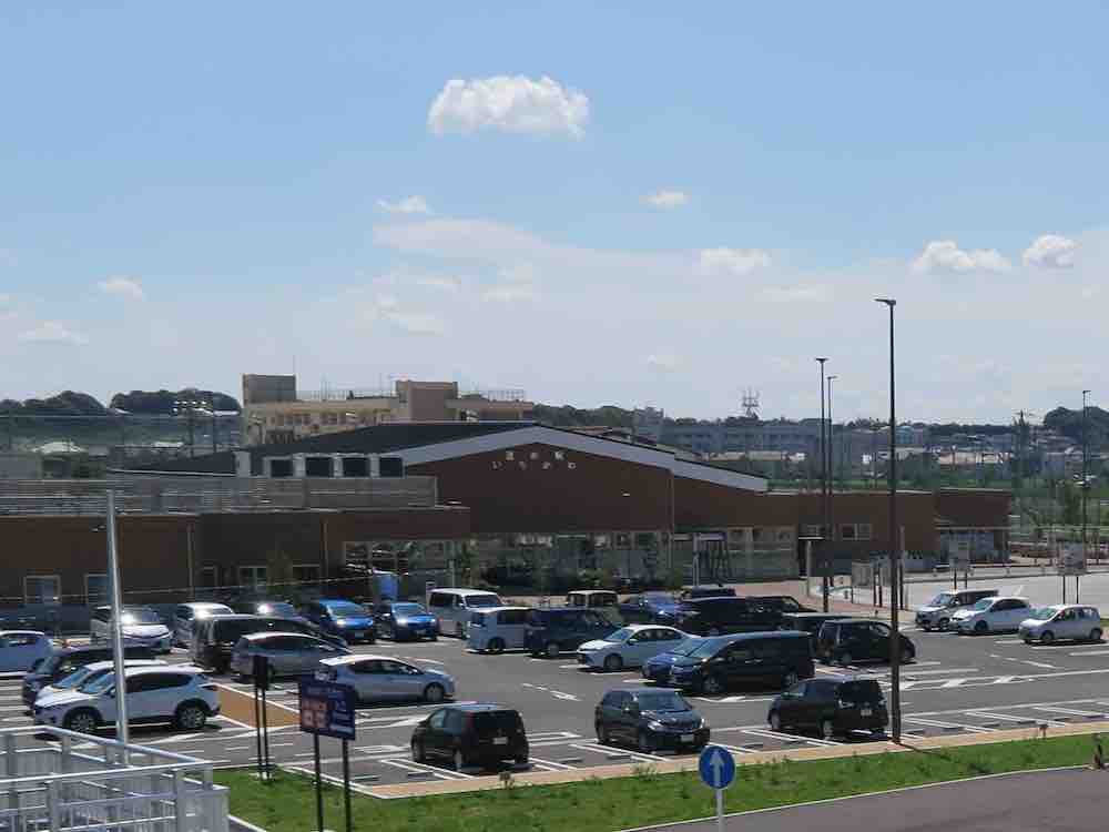 投稿された画像