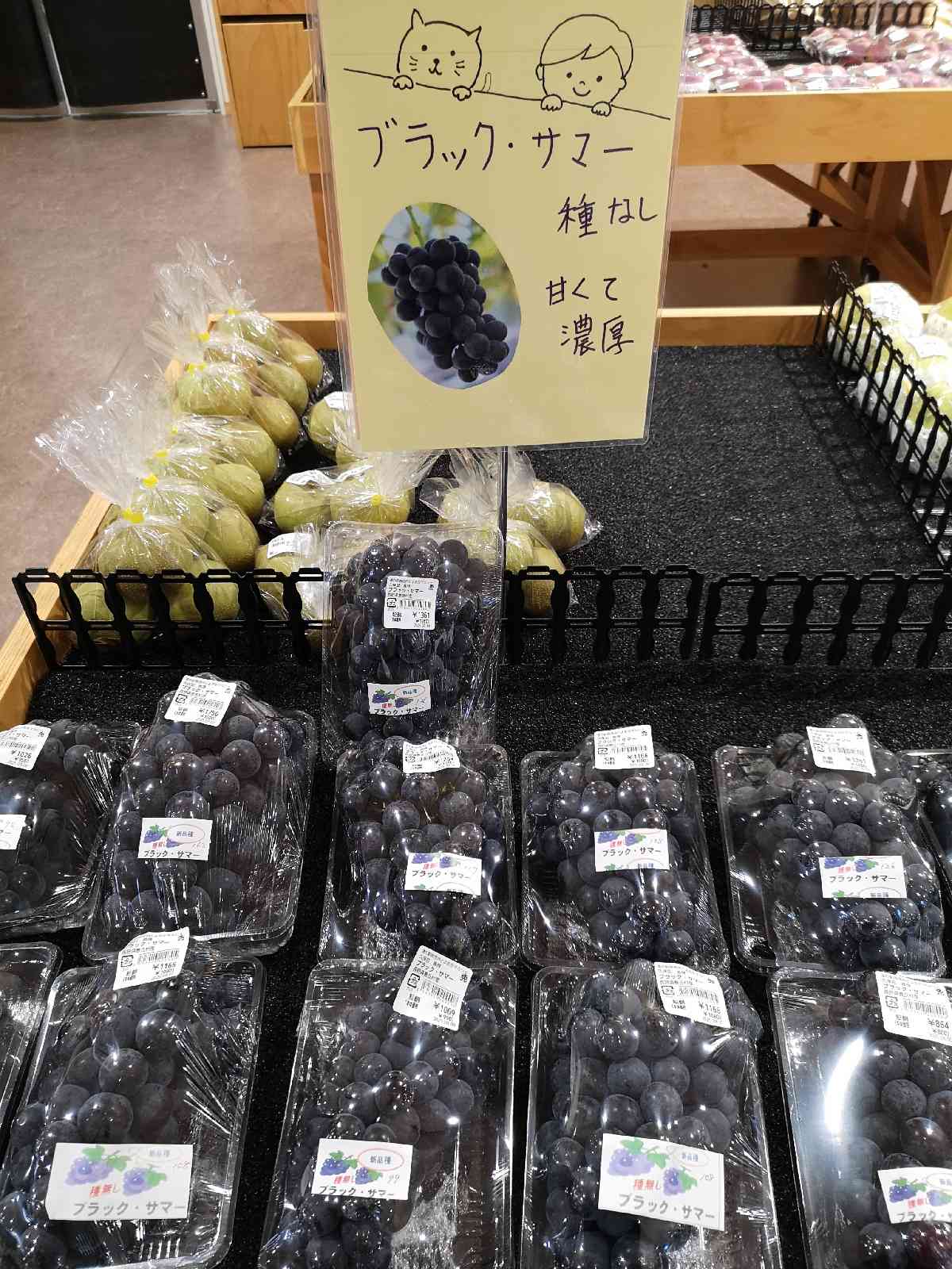 道の駅 南信州 とよおかマルシェの写真