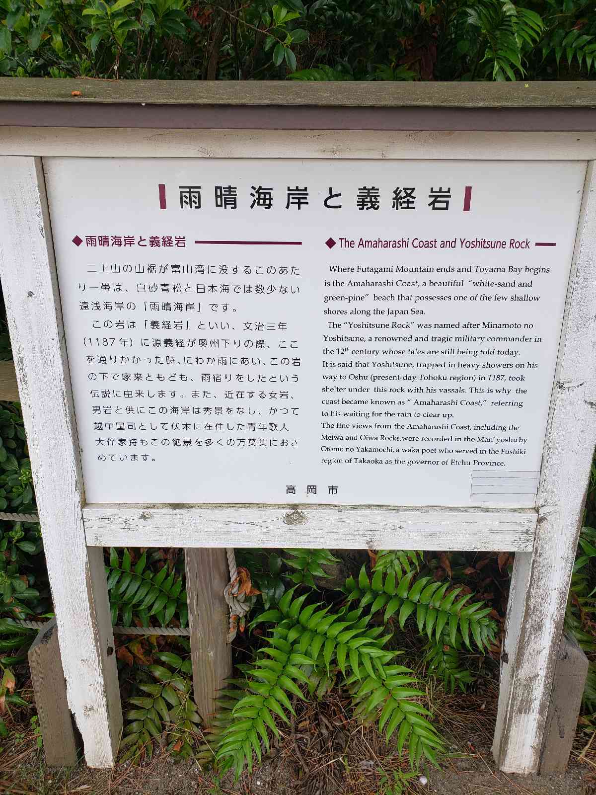 投稿された画像