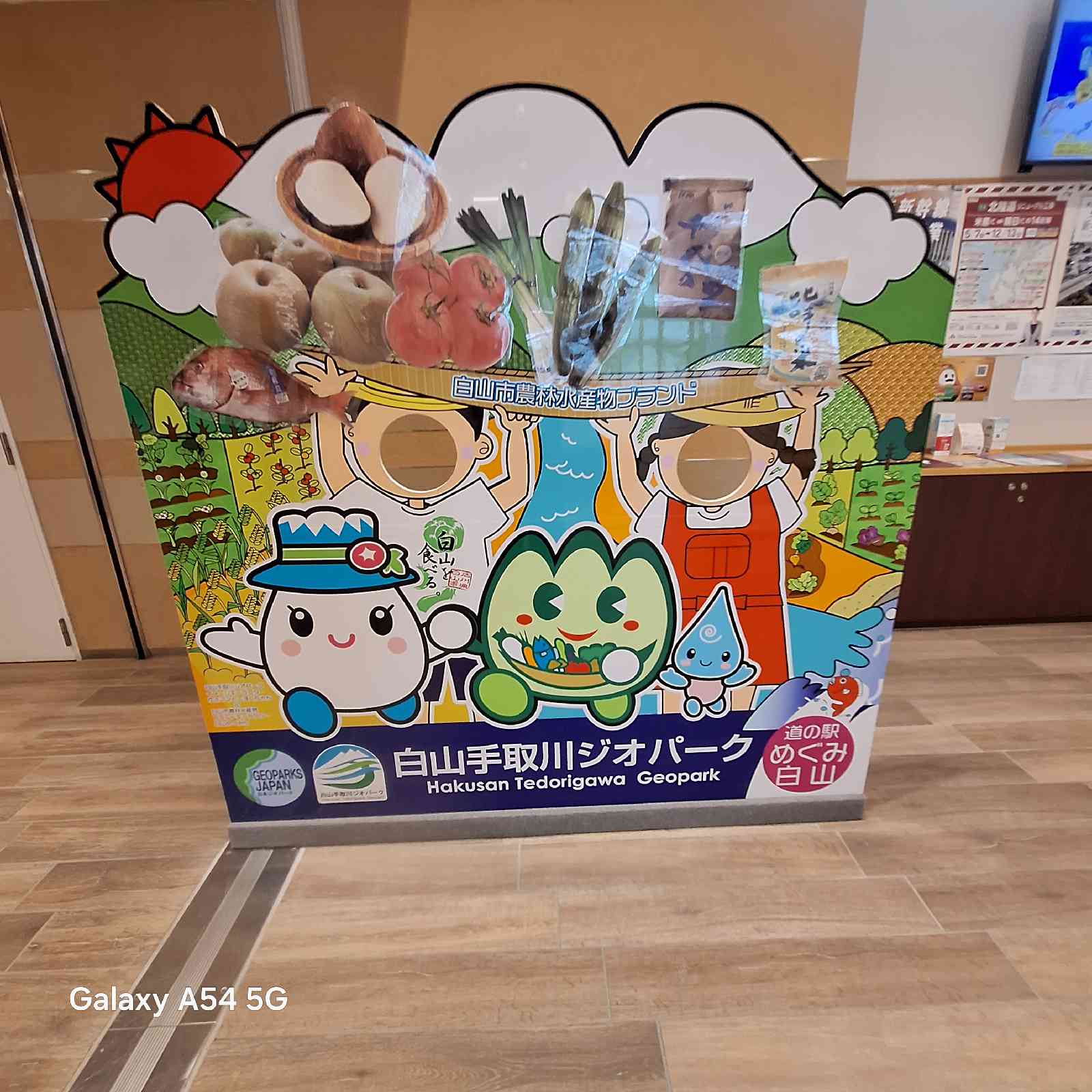 道の駅 めぐみ白山の写真