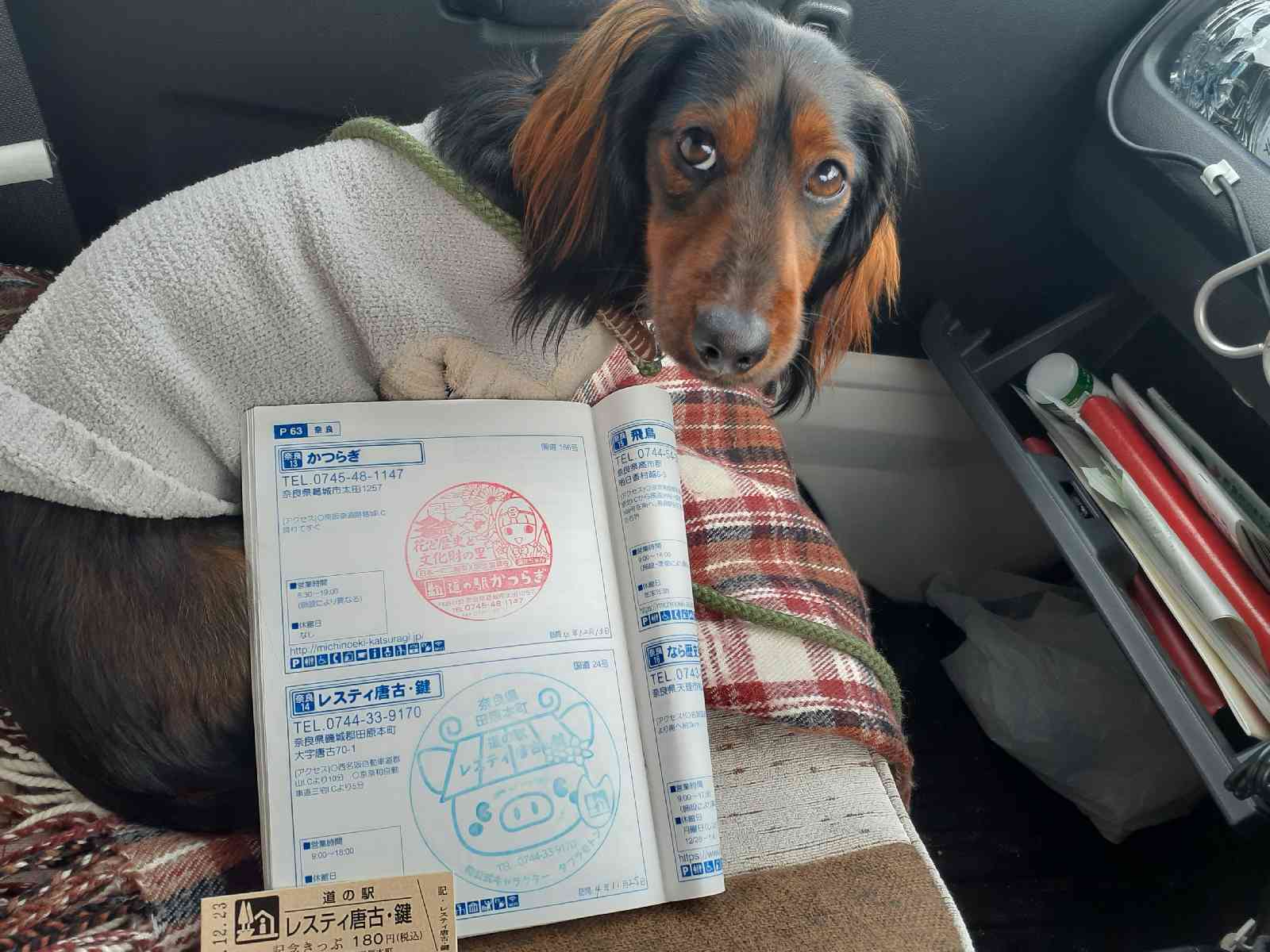 投稿された画像