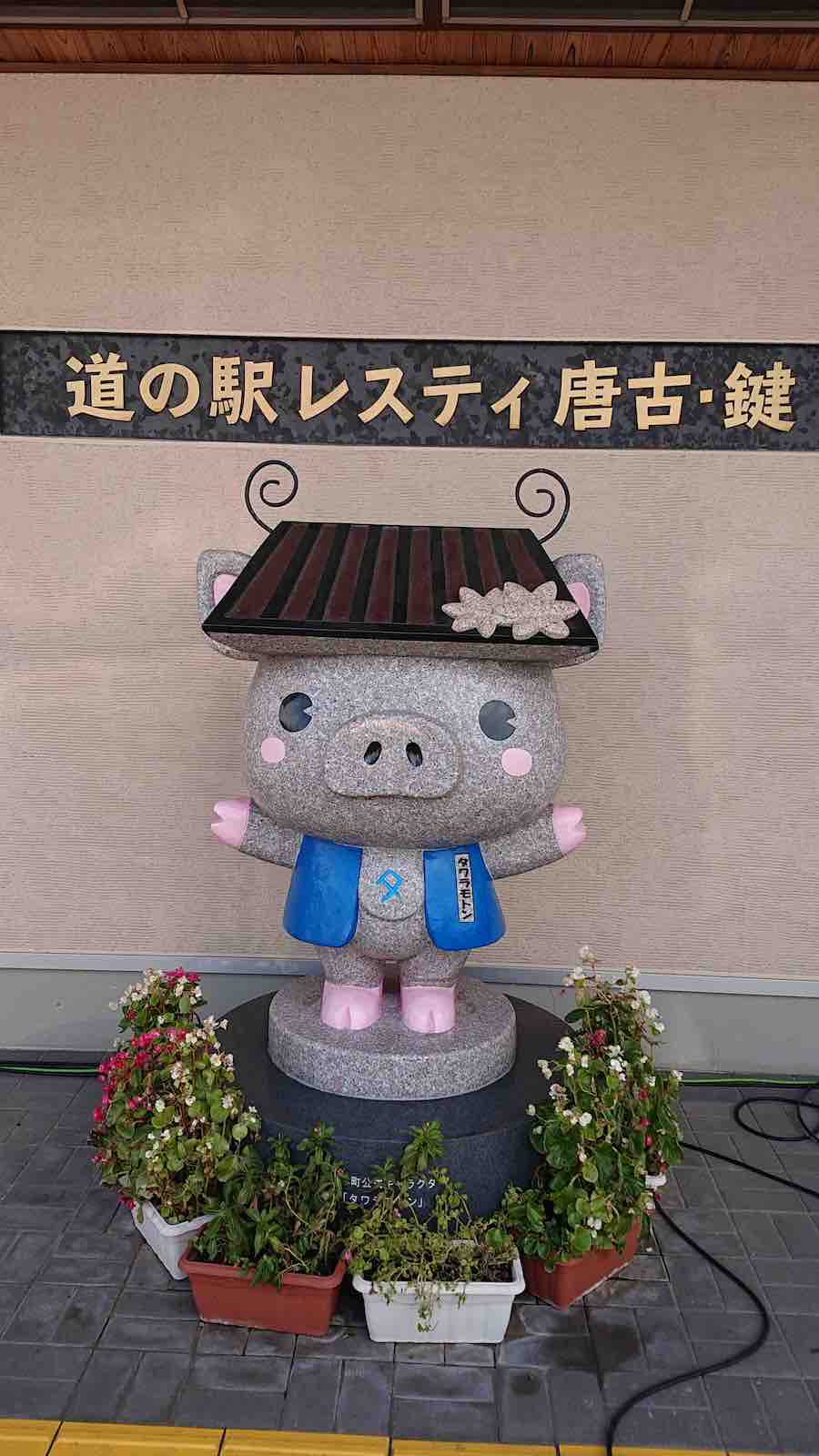 投稿された画像