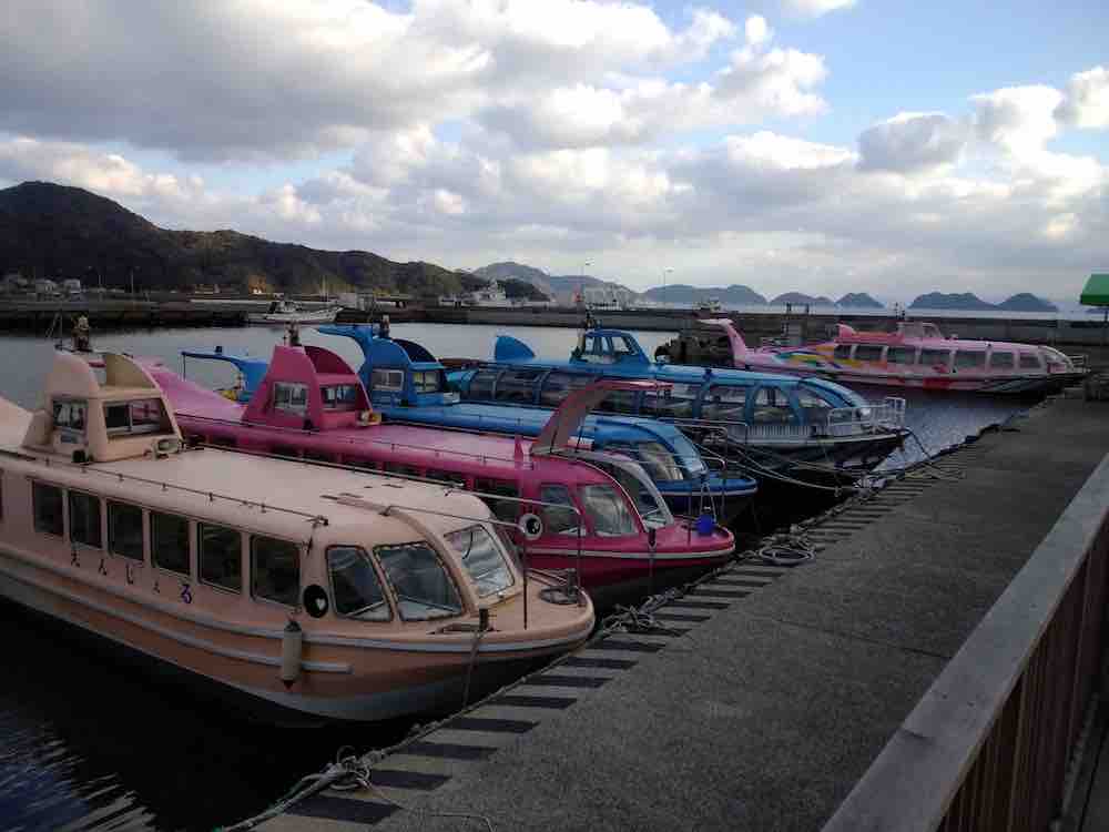 投稿された画像