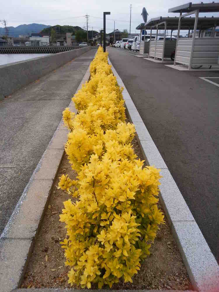 投稿された画像