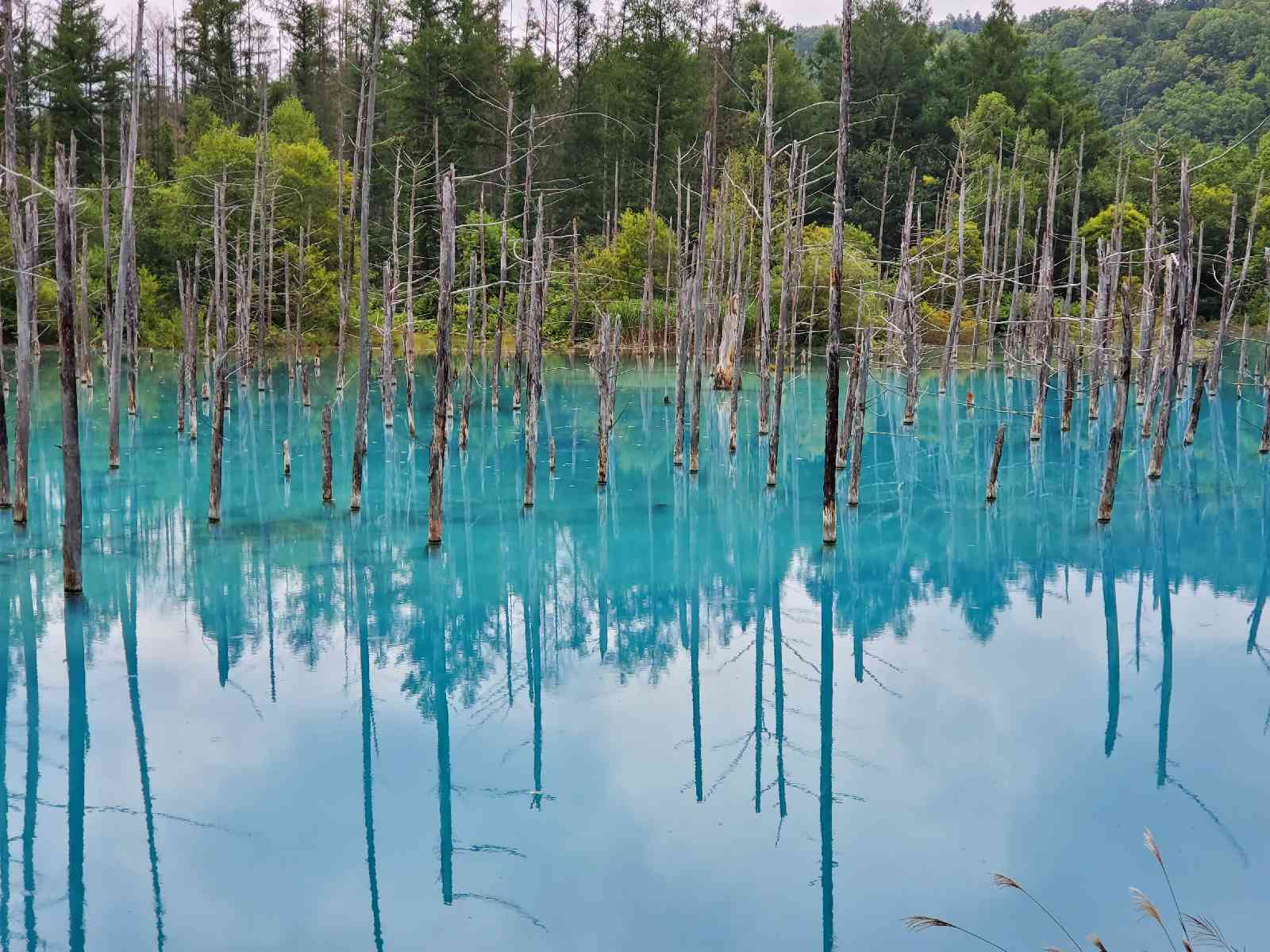 投稿された画像