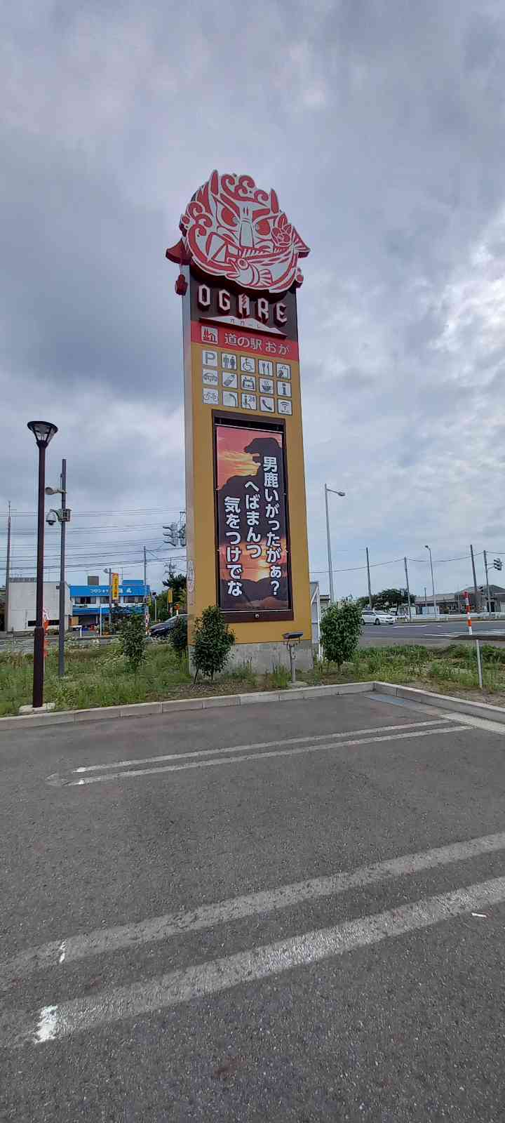 投稿された画像