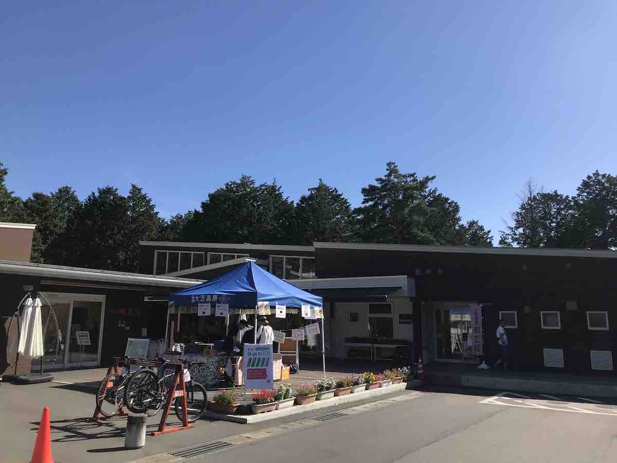 投稿された画像