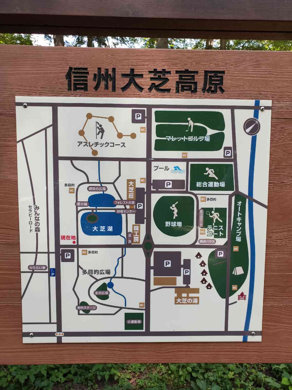 投稿された画像