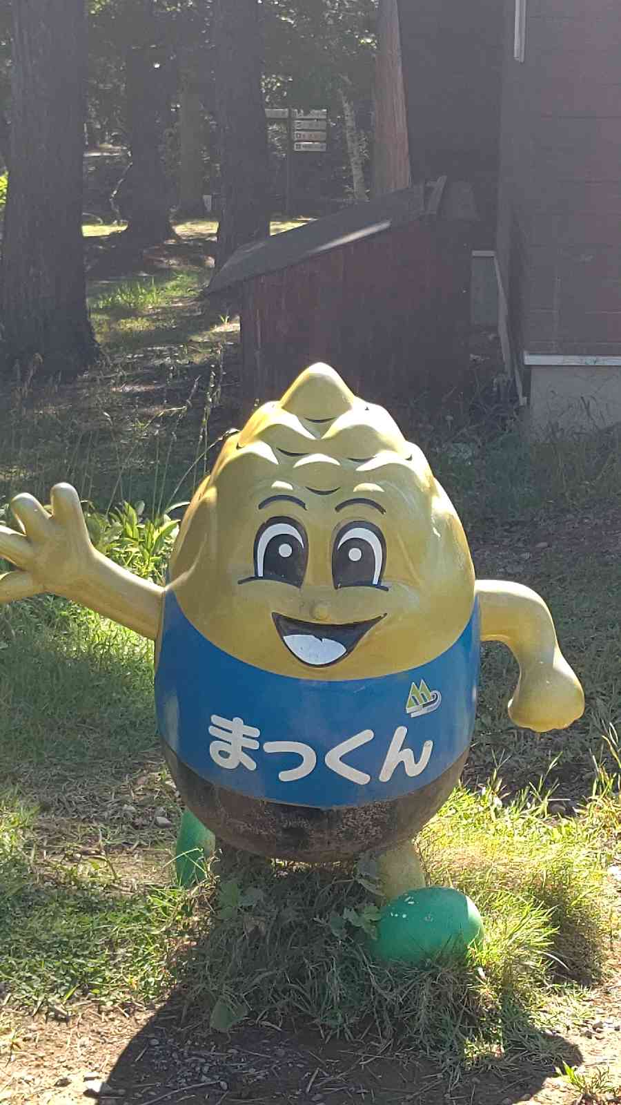 投稿された画像