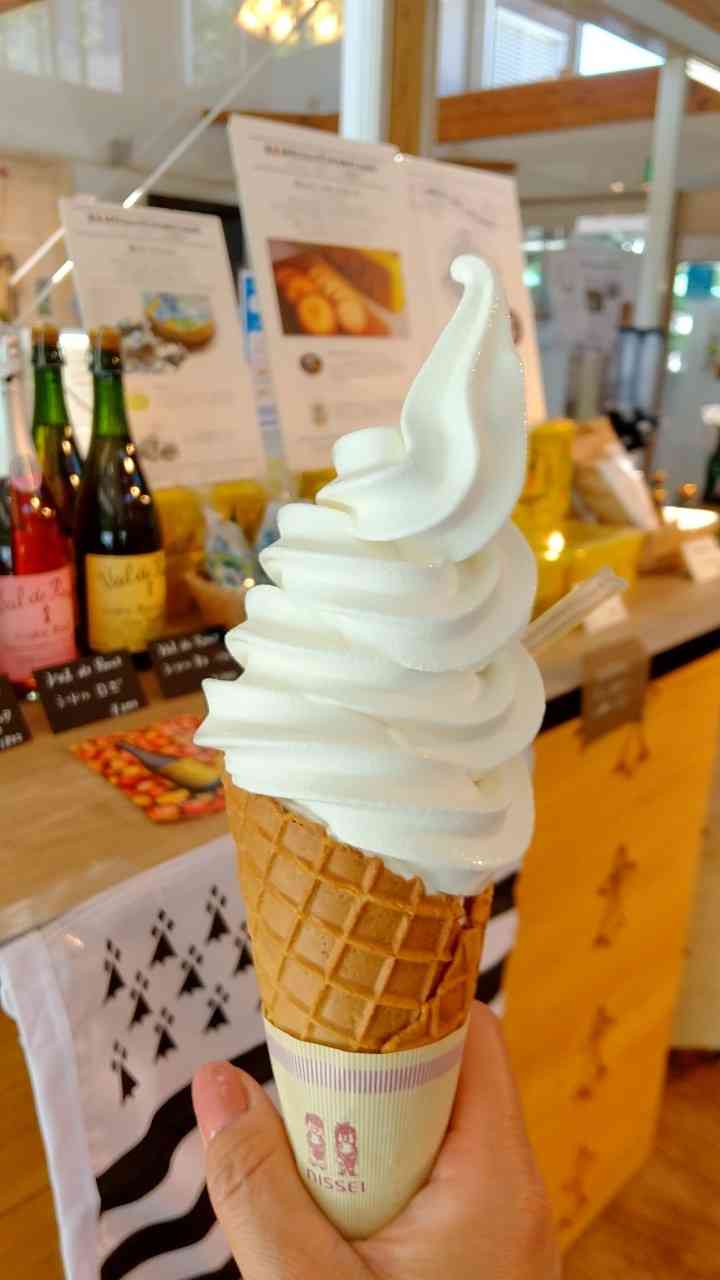 投稿された画像