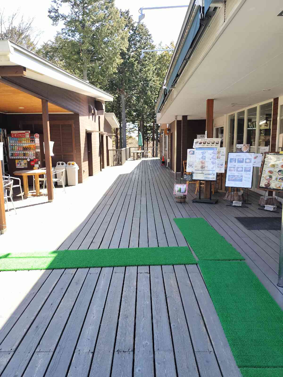 投稿された画像