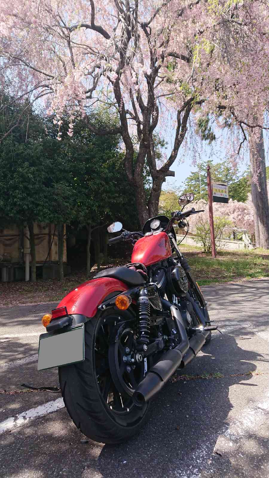 投稿された画像