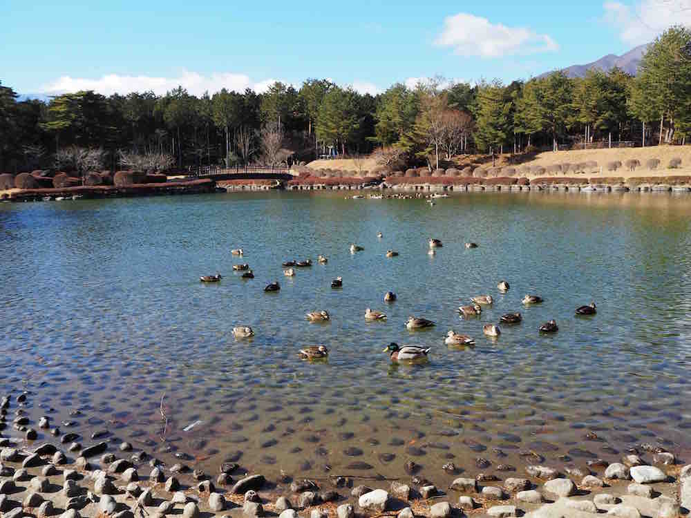 投稿された画像