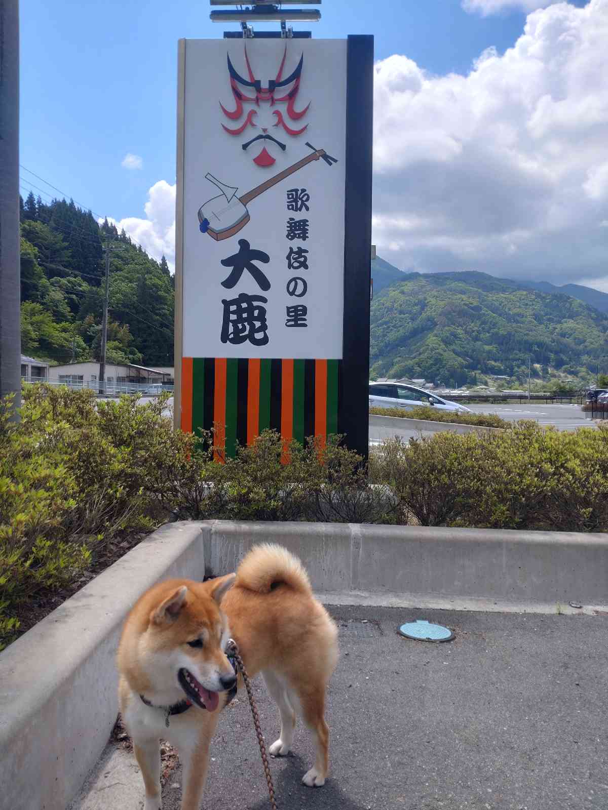 投稿された画像