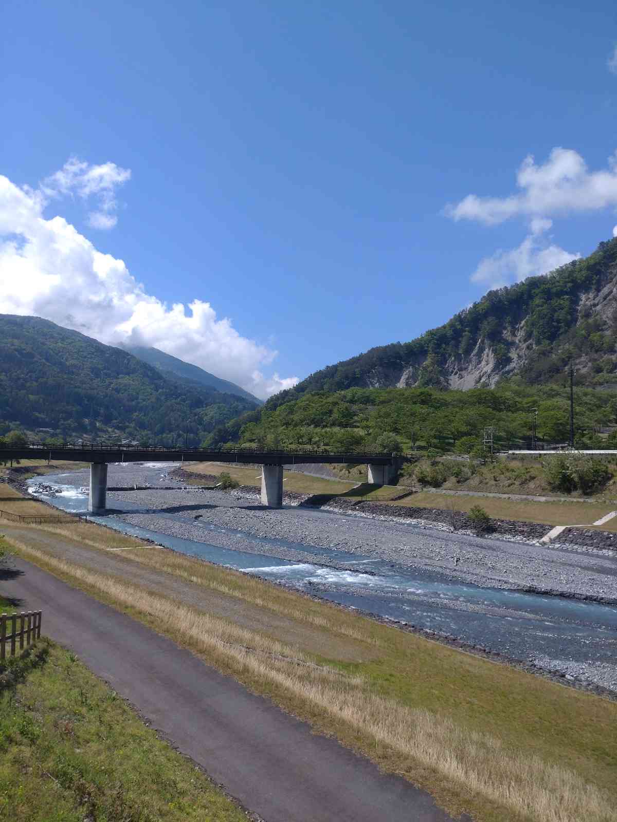 投稿された画像